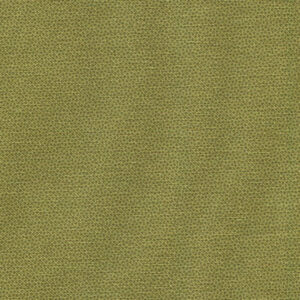 DHER1503-OLIVE