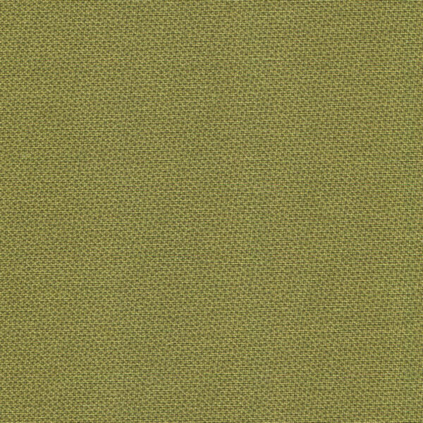 DHER1503-OLIVE