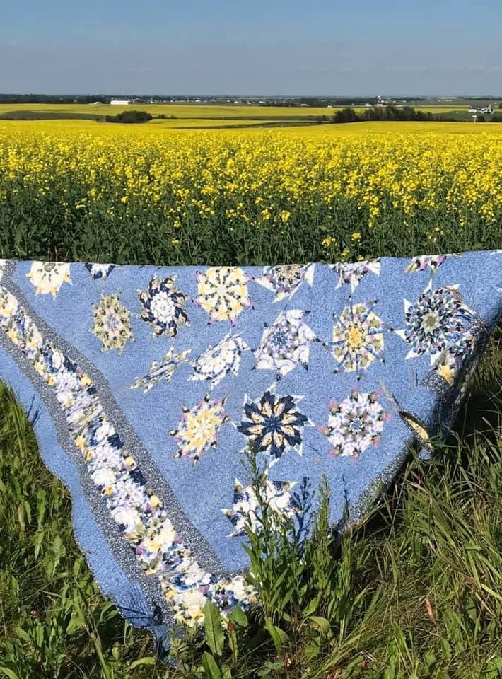 canola fields