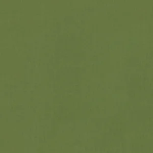 KONA-IVY
